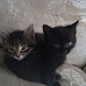 Meet your Posher, Francisco